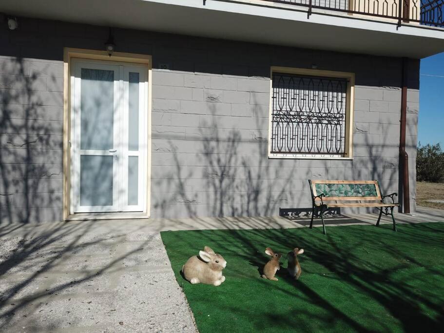 Il Leprotto - Room & Breakfast Altedo Exterior foto